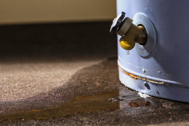 Best Carpet water damage restoration  in Springfield, SD
