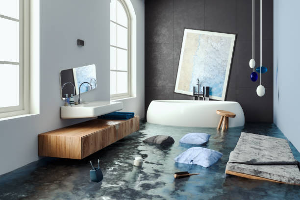 Best Professional water damage repair  in Springfield, SD