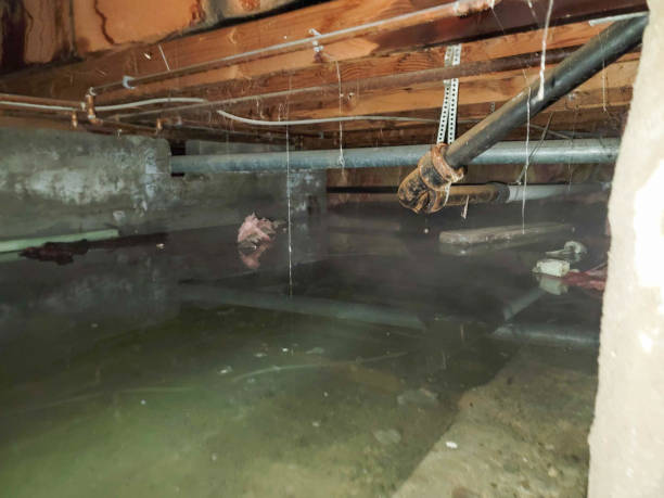 Best Emergency water extraction  in Springfield, SD