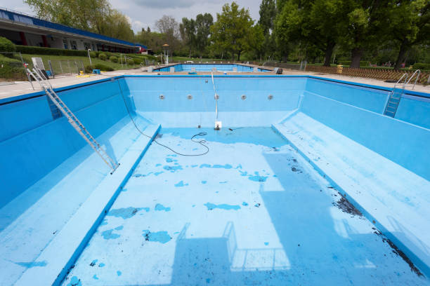 Best Flood damage cleanup  in Springfield, SD