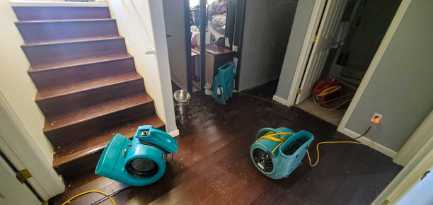 Best Flooded house restoration  in Springfield, SD