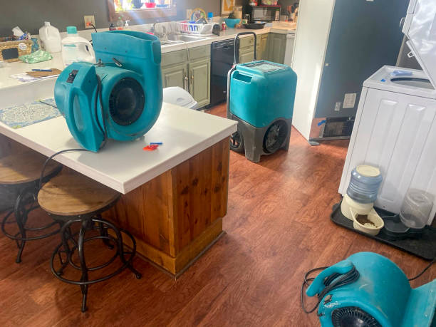 Best Local water damage restoration  in Springfield, SD