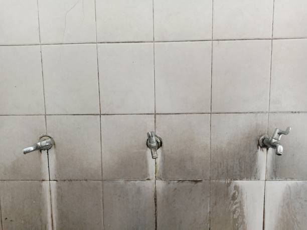 Best Basement water damage restoration  in Springfield, SD